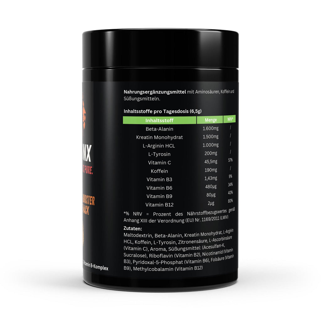FITLIONX Pre-Workout Booster Apfel - 520g